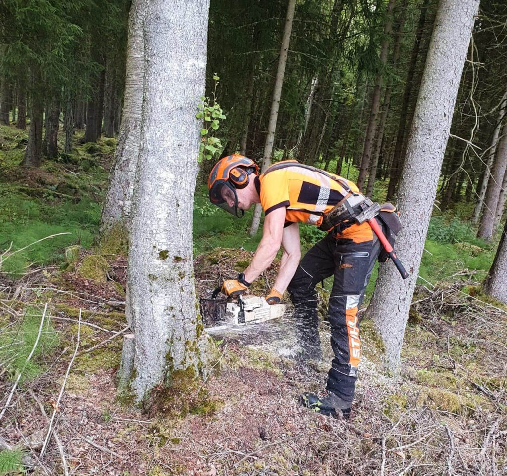 Benjamin utför trädfällning med en motorsåg iklädd skyddsutrustning.